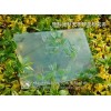 油砂一次成型玻璃蒙砂粉（工藝先進(jìn)）